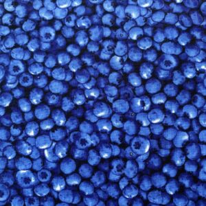 Patchwork stof - blåbær