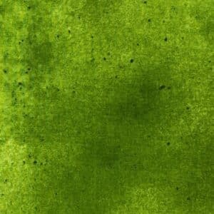 Patchwork stof - grøn meleret med nister