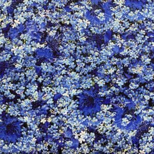 blå blomster stof